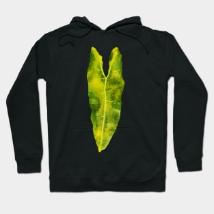 Billietiae Variegated Hoodie